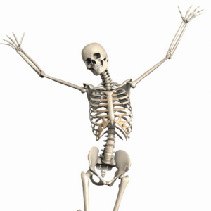 happy skeletor
