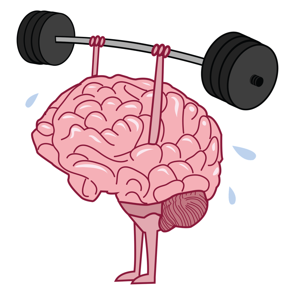 Exercise IS Brain Food