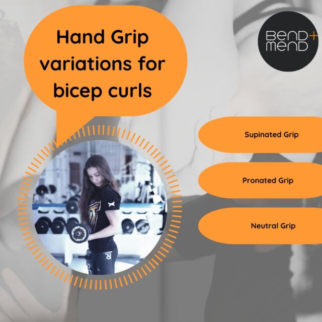 There are many positions that a bicep curl can be performed, and each position will alter the muscle bias and target slightly different areas of the bicep and surrounding muscle:Supinated Grip – this is the most common grip for bicep curls where your palms face up. This type of grip will primarily target the biceps brachii muscle, which is the superficial muscle visible on your upper arm.Pronated Grip – also known as a reverse grip. In this position, your palms face downward. While this grip will activate the biceps muscle, it will also strongly engage the brachialis and brachioradialis muscles, which are two muscles in the forearm, in addition to our wrist flexor muscles.Neutral Grip – this grip involves holding the dumbbells with your palms facing each other, like in skiing. This grip will focus more on the brachialis and brachioradialis muscles, and to a lesser extent, the biceps.
