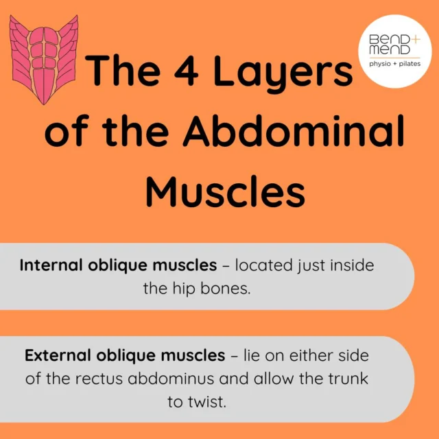 Do you know all the layers of the abdominal muscles? Each of these four layers can be activated using different Pilates-based exercises so that your "Core" is working optimally.