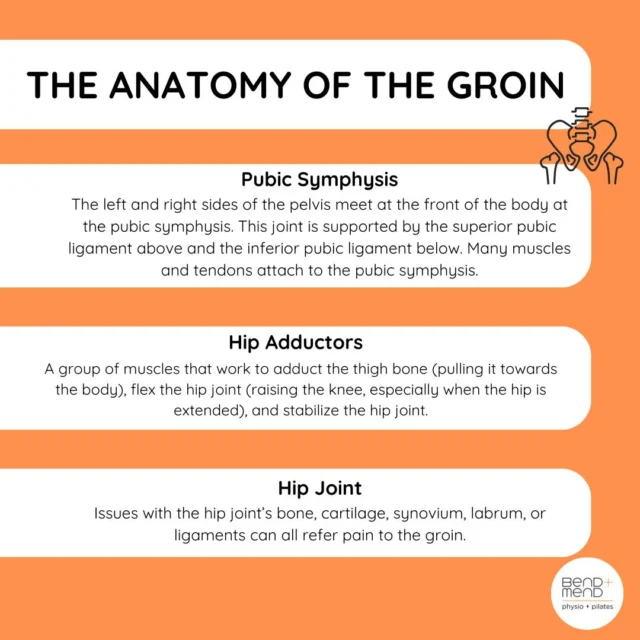 There is often some ambiguity about the exact location of the groin. Generally, it’s where the lower abdomen meets the upper region of the legs, extending from the pelvis. The main musculoskeletal structures in this area include the hip adductors, hip flexors, abdominal muscles/tendons/enthesis, the pubic symphysis, the inguinal canal and lower limb nerves coming from the lumbar spine.
#sydneyphysio #physiosydneycbd #bendandmend #groinphysio #groinstrain