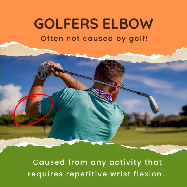 In Golfer's Elbow or "Medial Epicondylalgia" the wrist flexor muscles converge into one common tendon which inserts into the bony prominence on the inside of your elbow - the medial epicondyle. A combination of local treatment at the muscles and joints, and exercises to strengthen the tendon can work well to assist in recovery.🏌️‍♀️#bendandmend #physiosydneycbd #sydneyphysio #golferselbow #sportsphysio