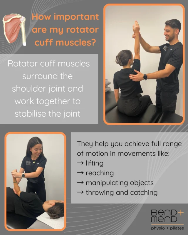 Rotator Cuff muscles act like the "core" of the shoulder. Without them we would have problems with lifting, reaching and most other overhead movements.
#sportsphysio #bendandmend #rotatorcuff #shoulderphysio
