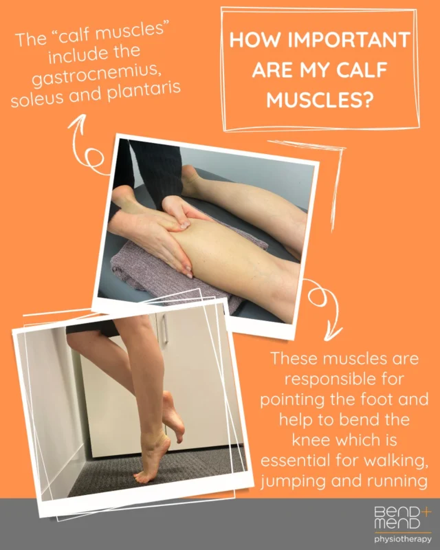 Your calf muscles are crucial for walking, running, jumping, and maintaining balance, making them essential for nearly all lower-body movement.#sportsphysio #cityphysio #martinplace #bendandmend #runningphysio